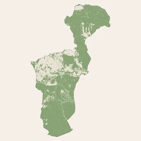 Le Muy : bois, forêts et landes