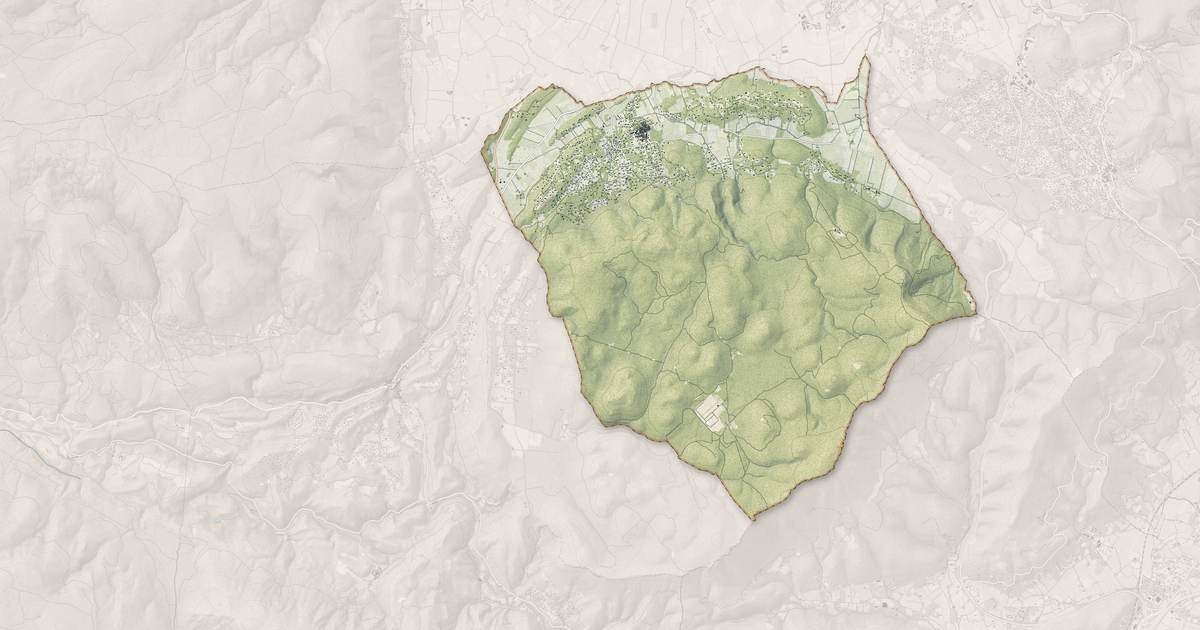 Portrait cartographique de Néoules : relief, eau, forêts, bâti et voies, calculés à partir des données de l'IGN