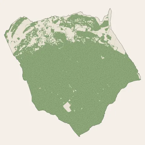 Néoules : bois, forêts et landes