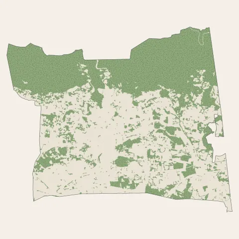 Ollioules : bois, forêts et landes