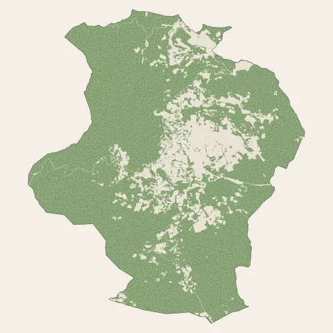 Le Plan-de-la-Tour : bois, forêts et landes