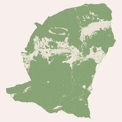 Rians : bois, forêts et landes