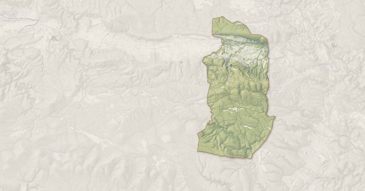 Portrait cartographique de Saint-Martin-de-Pallières : relief, eau, forêts, bâti et voies, calculés à partir des données de l'IGN