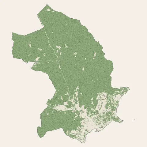 Sainte-Maxime : bois, forêts et landes