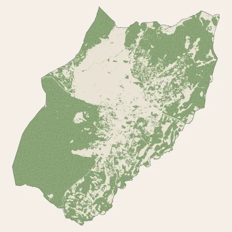 Saint-Maximin-la-Sainte-Baume : bois, forêts et landes