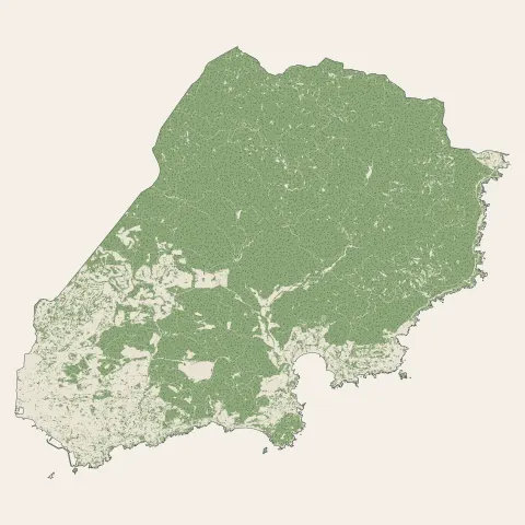 Saint-Raphaël : bois, forêts et landes