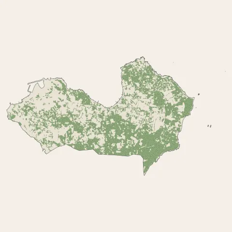 Saint-Tropez : bois, forêts et landes
