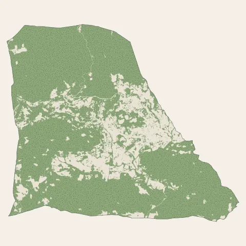 Salernes : bois, forêts et landes