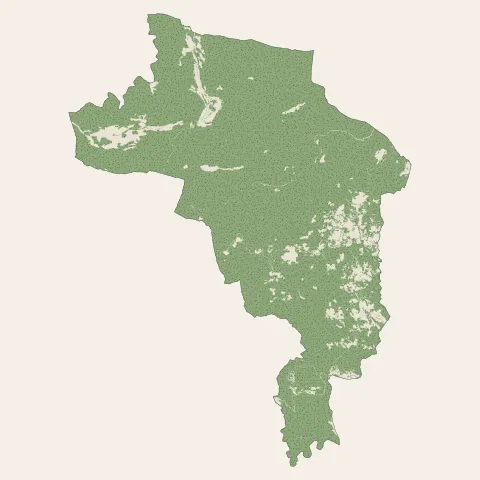 Seillans : bois, forêts et landes
