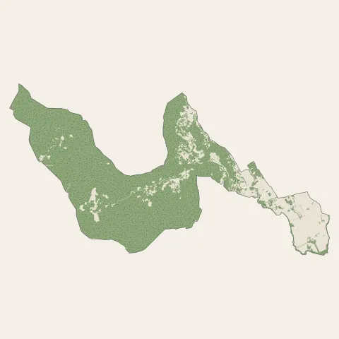 Solliès-Ville : bois, forêts et landes
