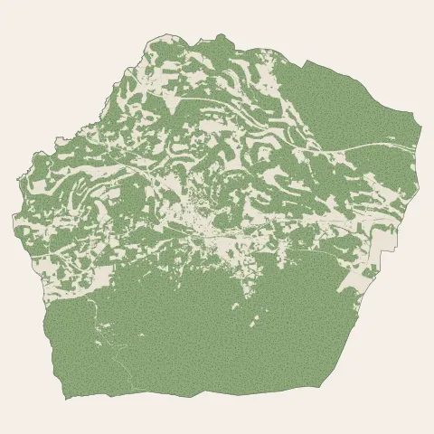 Tourves : bois, forêts et landes