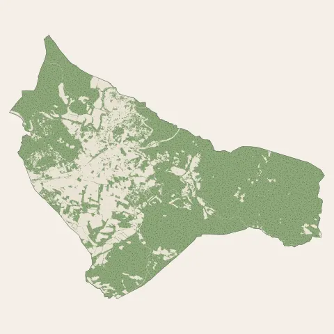 Vidauban : bois, forêts et landes