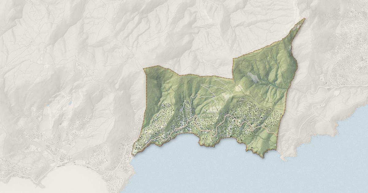 Portrait cartographique de Rayol-Canadel-sur-Mer : relief, eau, forêts, bâti et voies, calculés à partir des données de l'IGN