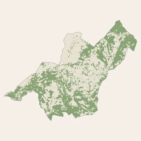 Apt : bois, forêts et landes