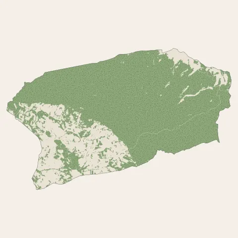 Bédoin : bois, forêts et landes