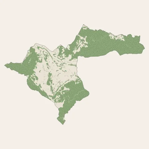 Malaucène : bois, forêts et landes