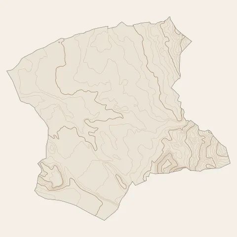 Mazan : courbes de niveau