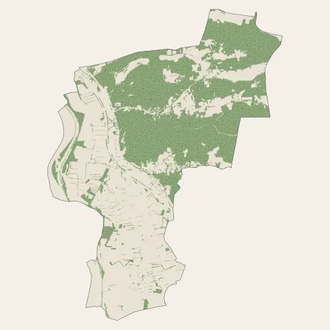 Mornas : bois, forêts et landes