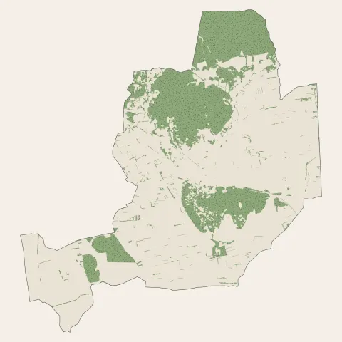 Piolenc : bois, forêts et landes
