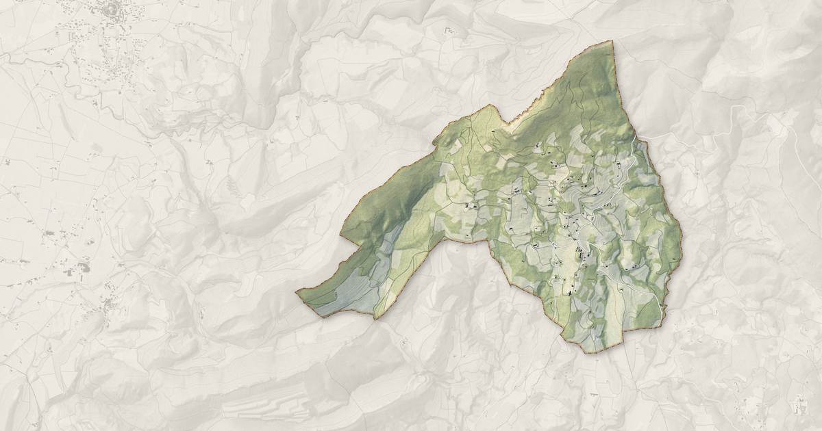 Portrait cartographique de Suzette : relief, eau, forêts, bâti et voies, calculés à partir des données de l'IGN