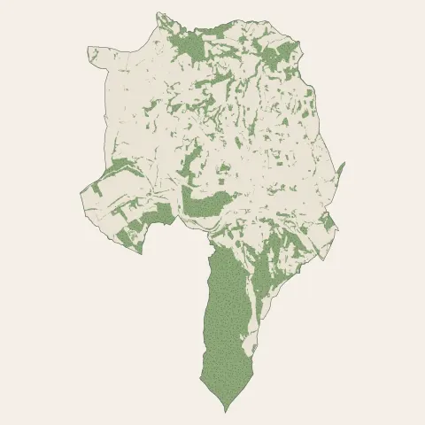 Vaison-la-Romaine : bois, forêts et landes