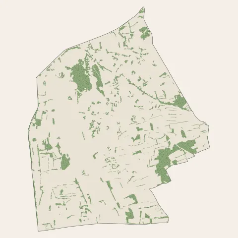 Vedène : bois, forêts et landes