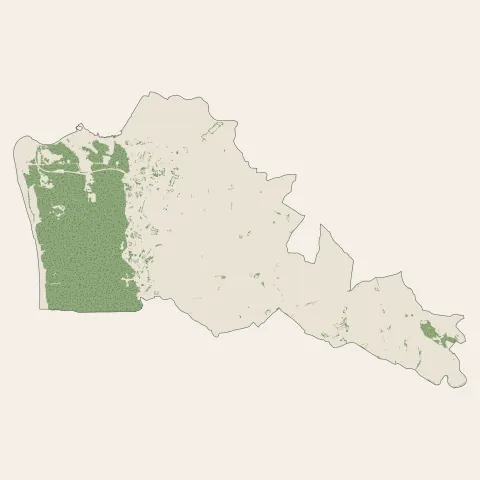La Barre-de-Monts : bois, forêts et landes