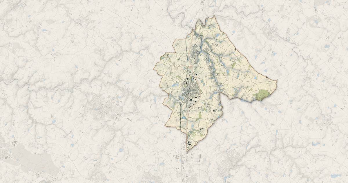 Portrait cartographique de Bellevigny : relief, eau, forêts, bâti et voies, calculés à partir des données de l'IGN