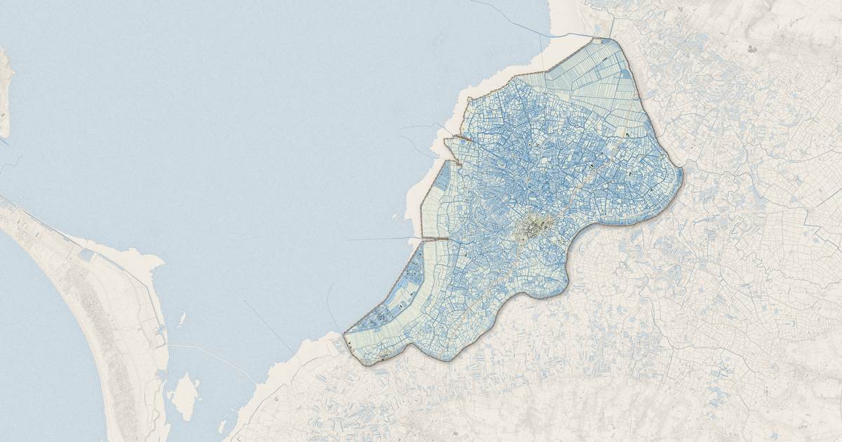 Portrait cartographique de Bouin : relief, eau, forêts, bâti et voies, calculés à partir des données de l'IGN