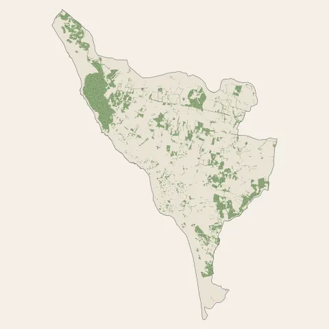 Bretignolles-sur-Mer : bois, forêts et landes