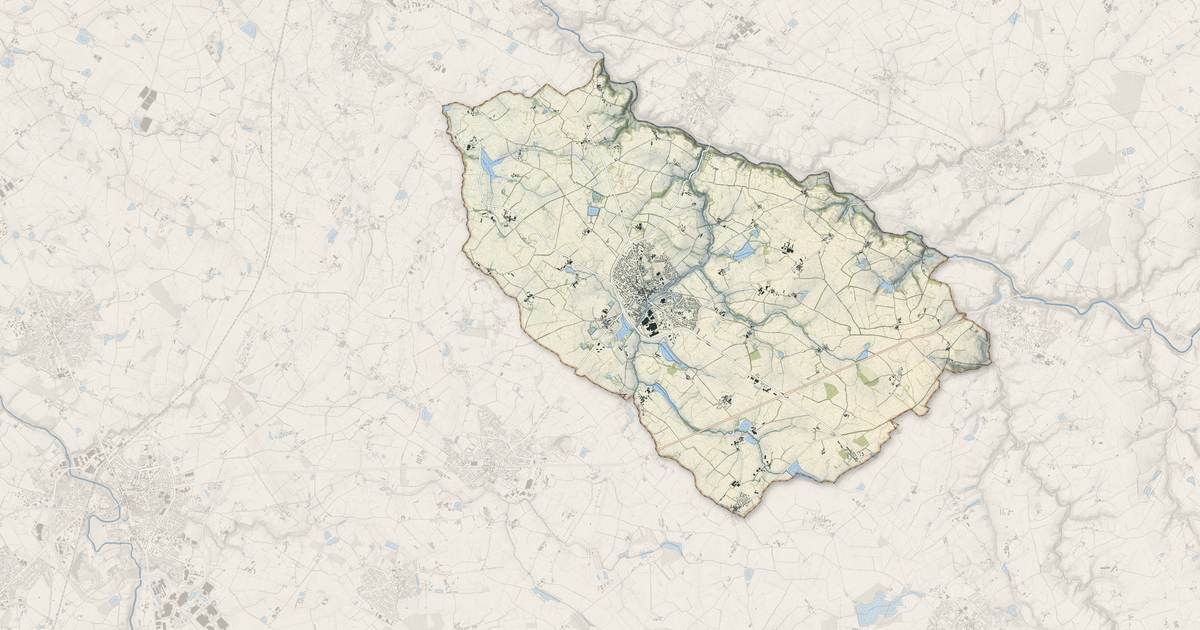 Portrait cartographique de La Bruffière : relief, eau, forêts, bâti et voies, calculés à partir des données de l'IGN