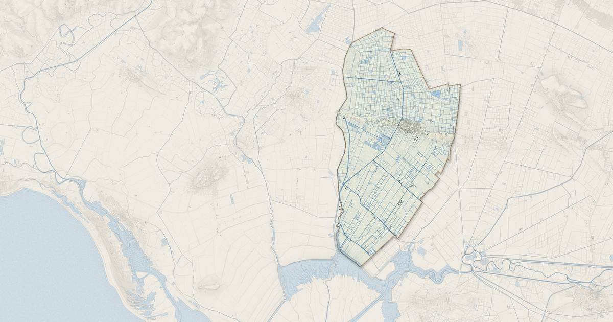 Portrait cartographique de Champagné-les-Marais : relief, eau, forêts, bâti et voies, calculés à partir des données de l'IGN