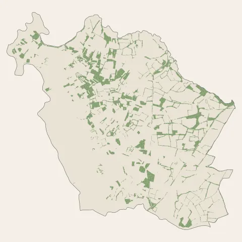 L'Île-d'Olonne : bois, forêts et landes