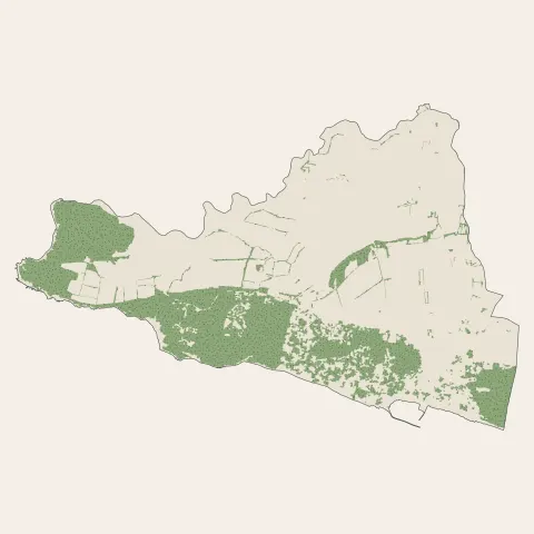 Jard-sur-Mer : bois, forêts et landes