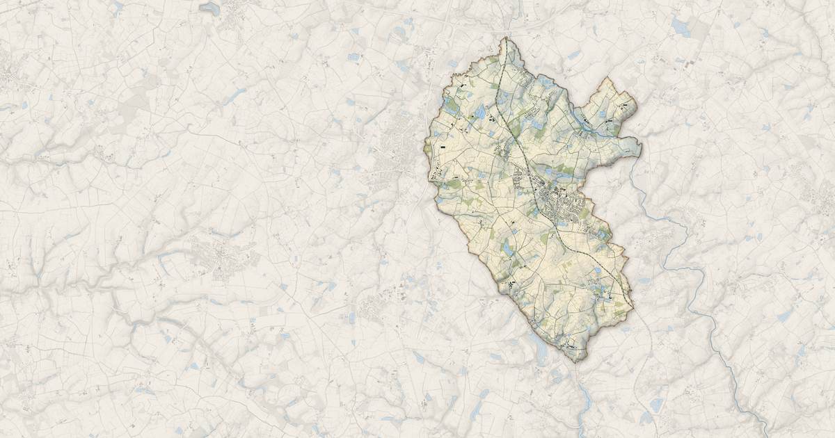 Portrait cartographique de Nesmy : relief, eau, forêts, bâti et voies, calculés à partir des données de l'IGN