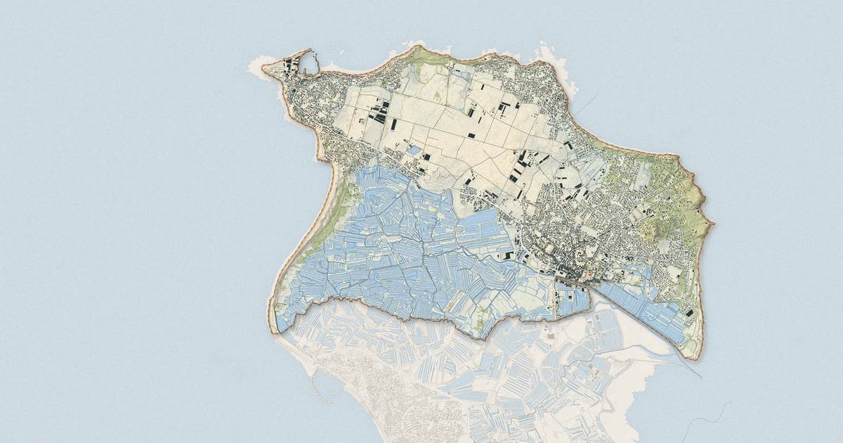 Portrait cartographique de Noirmoutier-en-l'Île : relief, eau, forêts, bâti et voies, calculés à partir des données de l'IGN