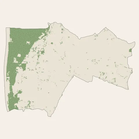 Notre-Dame-de-Monts : bois, forêts et landes