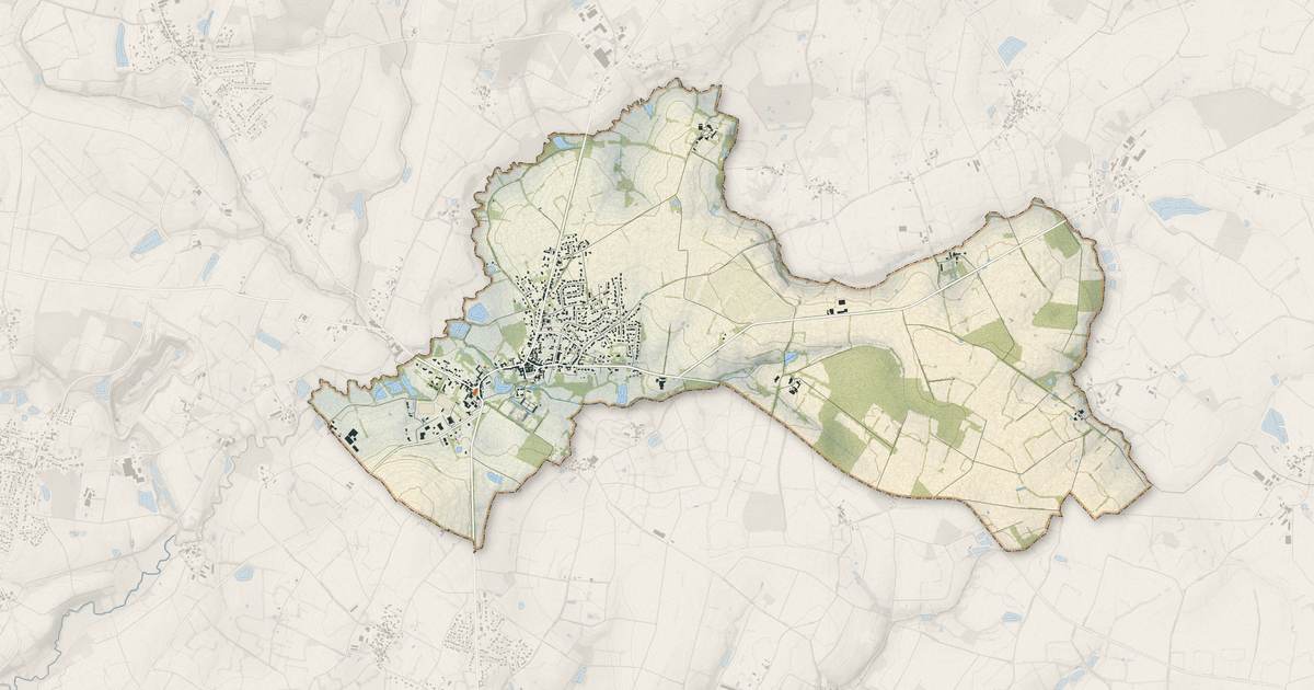 Portrait cartographique de Palluau : relief, eau, forêts, bâti et voies, calculés à partir des données de l'IGN