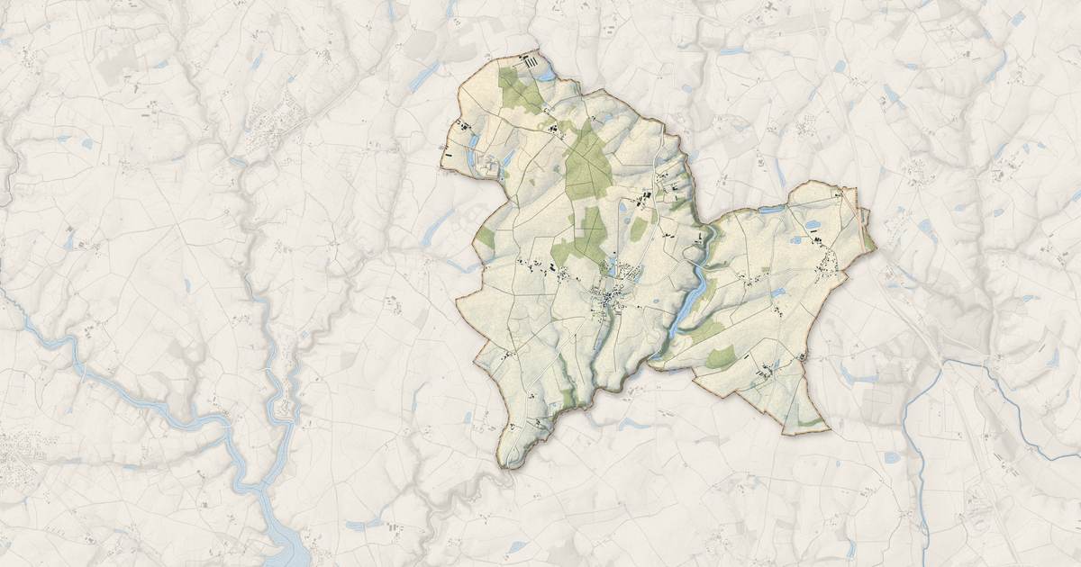 Portrait cartographique de Les Pineaux : relief, eau, forêts, bâti et voies, calculés à partir des données de l'IGN