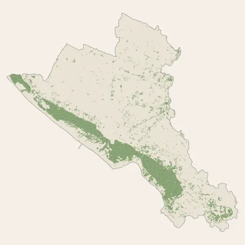 Saint-Jean-de-Monts : bois, forêts et landes
