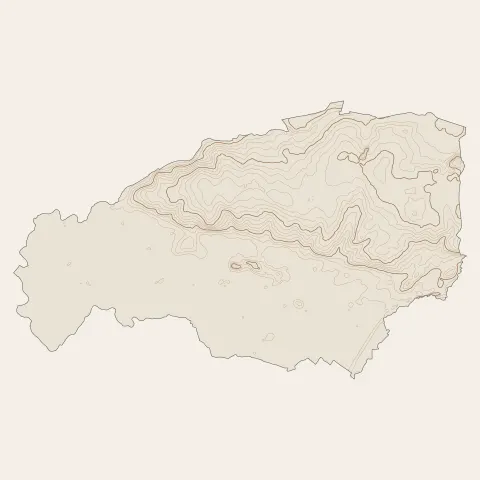 Sallertaine : courbes de niveau