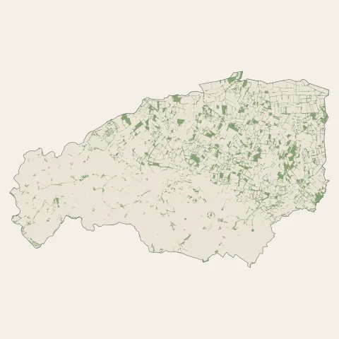 Sallertaine : bois, forêts et landes