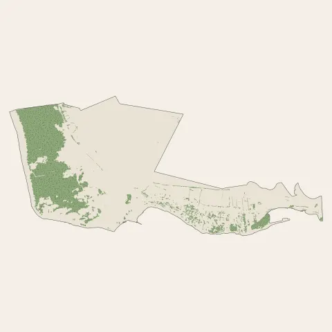 La Tranche-sur-Mer : bois, forêts et landes