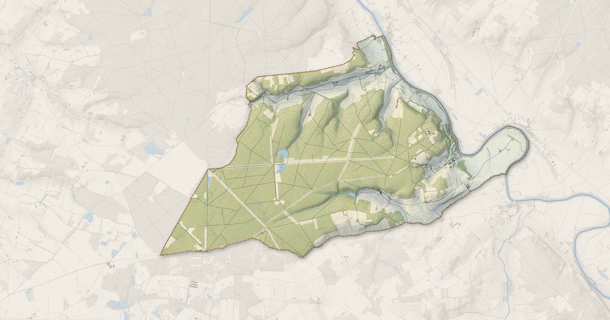 Portrait cartographique de Mairé : relief, eau, forêts, bâti et voies, calculés à partir des données de l'IGN