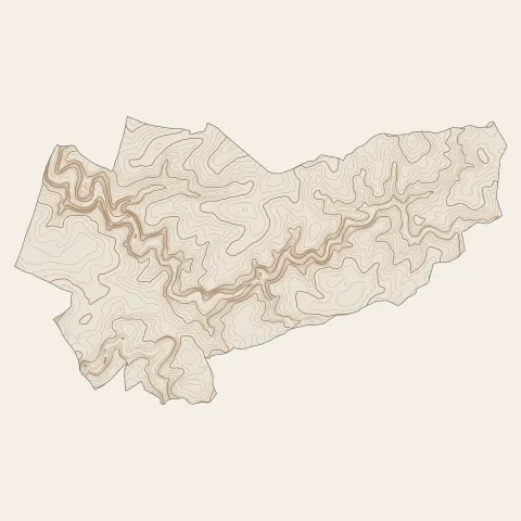 Montamisé : courbes de niveau