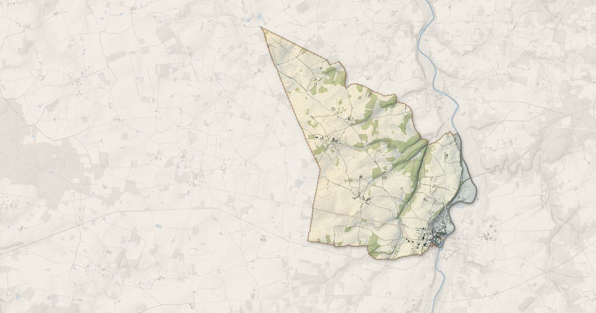 Portrait cartographique de Saint-Savin : relief, eau, forêts, bâti et voies, calculés à partir des données de l'IGN