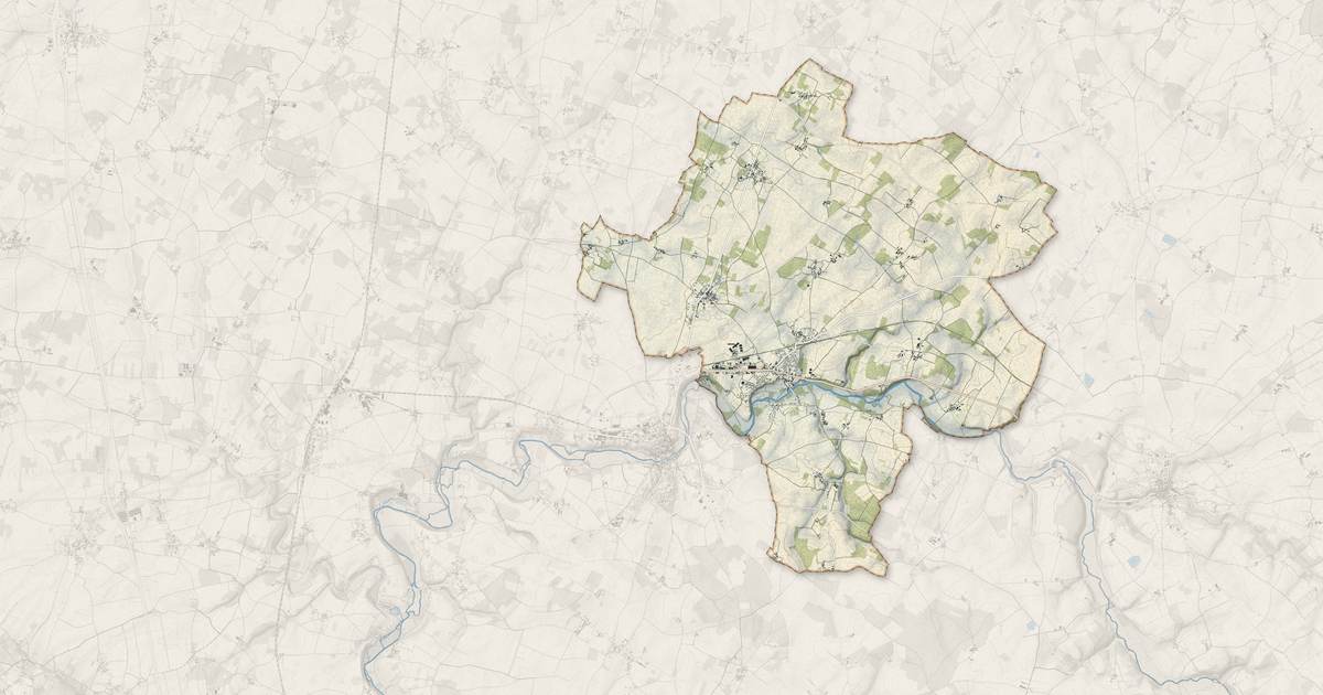 Portrait cartographique de Savigné : relief, eau, forêts, bâti et voies, calculés à partir des données de l'IGN