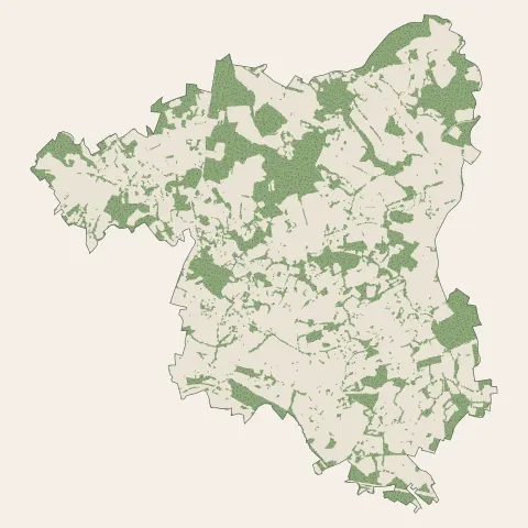 Chaptelat : bois, forêts et landes