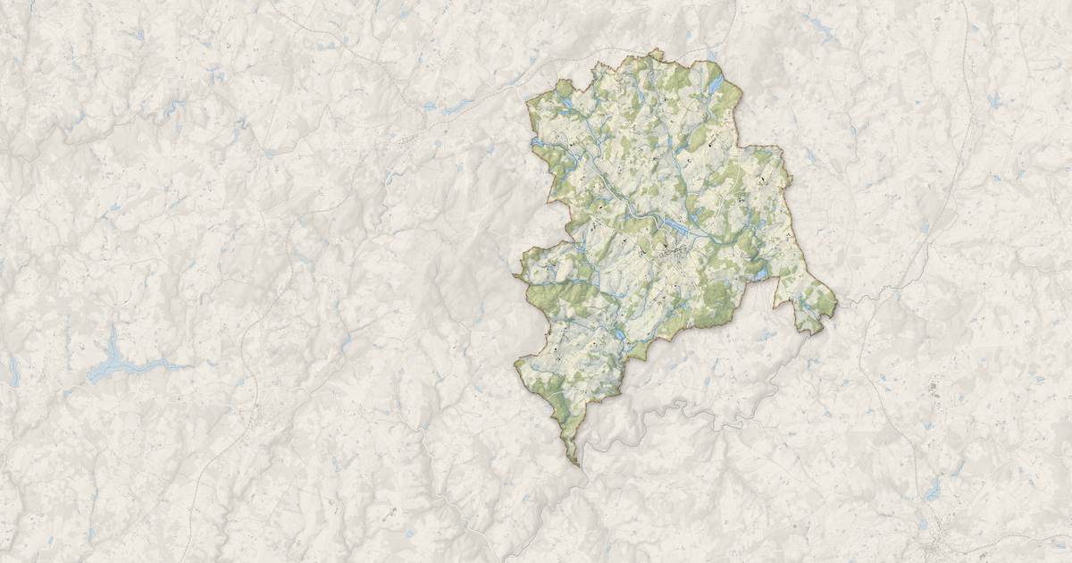 Portrait cartographique de Ladignac-le-Long : relief, eau, forêts, bâti et voies, calculés à partir des données de l'IGN