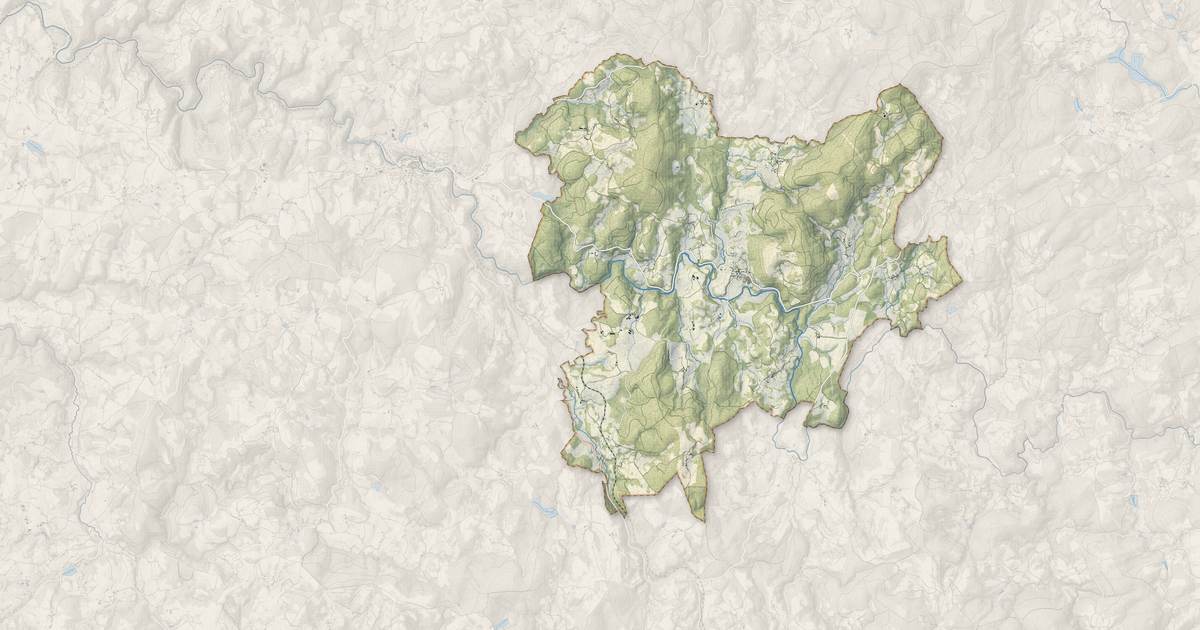 Portrait cartographique de Nedde : relief, eau, forêts, bâti et voies, calculés à partir des données de l'IGN